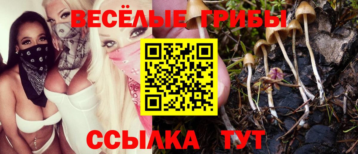 Псилоцибиновые грибы Cubensis  наркошоп  Печора  Вход с VPN  Галлюциногенные грибы Psilocybine cubensis 