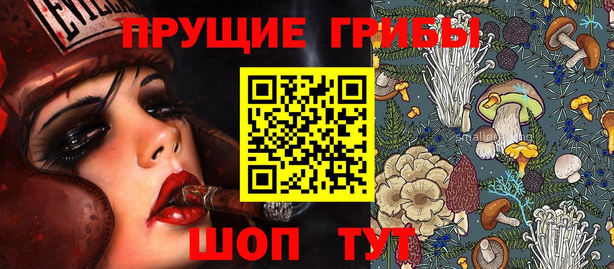 Галлюциногенные грибы Psilocybe Печора